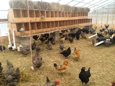 2015 Pasture-Raised Eggs Budget — Farm Marketing Solutions