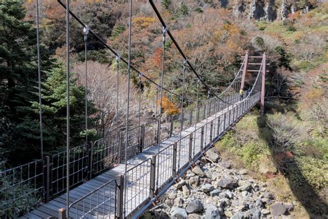 Le petit pont vers l’autre rive – Un Renard en Corée