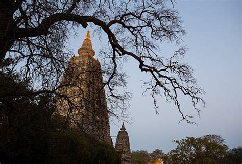 60+ Mahabodhi Temple At Night Stock Photos, Pictures & Royalty-Free ...