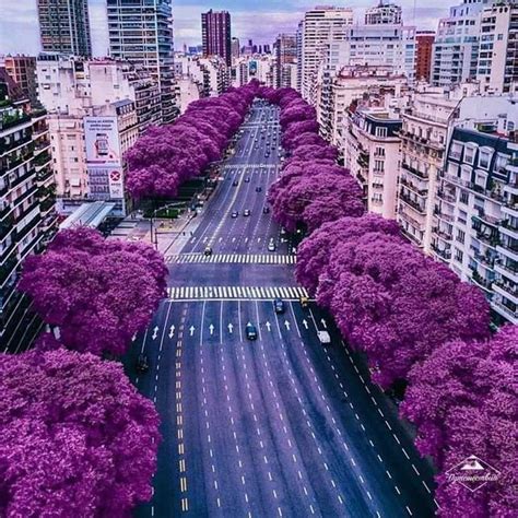 Avenida del Libertador, Buenos Aires. Argentina💜 Drone Photography, Travel Photography ...