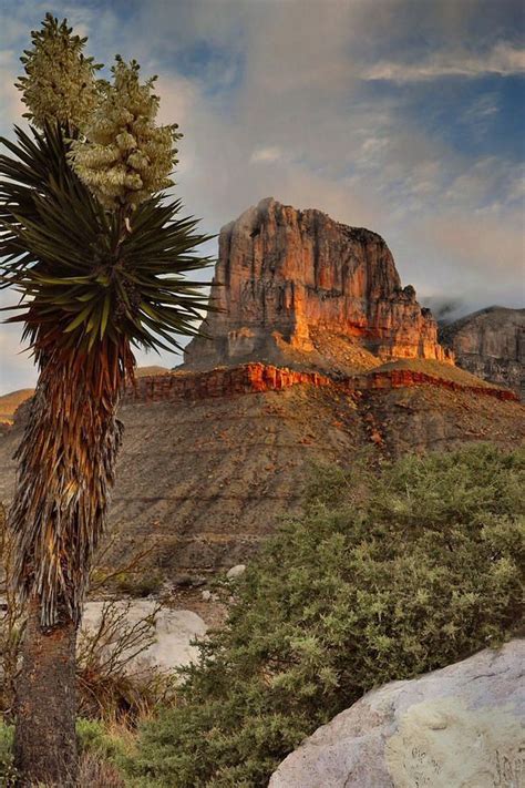 Sunrise... | Guadalupe mountains national park, National parks, Guadalupe mountains