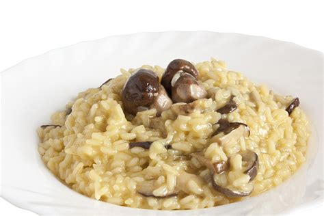 Quiet Corner:Risotto with porcini mushrooms and Pecorino cheese - Quiet Corner