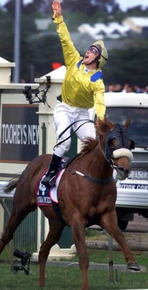 Melbourne Cup winner put down - Horse Racing - Sport | Melbourne cup winners, Horse racing, Horses