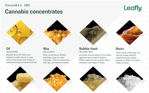 The Roll-Up #153: All about cannabis concentrates | Leafly