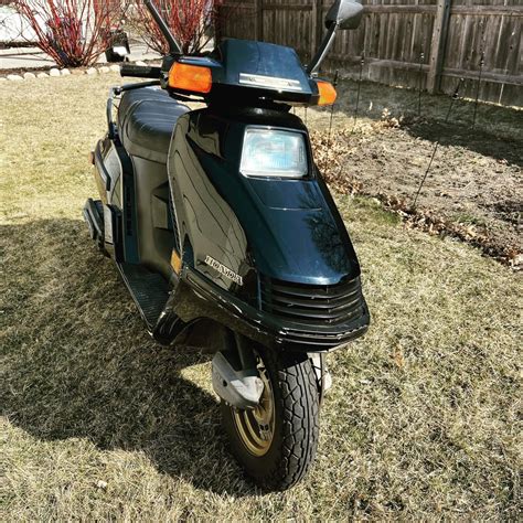 1986 Honda Elite 250, brought home today. Also have a 1986 Honda Elite 150. : scooters