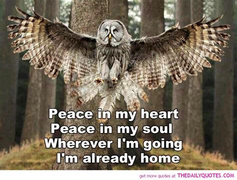 Inspirational Quotes With Owls. QuotesGram