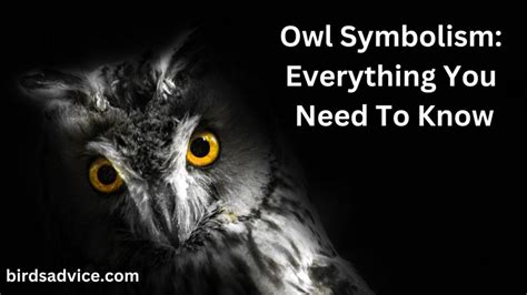 Owl Symbolism: Everything You Need To Know