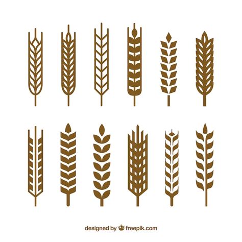 Silhouette wheat collection | Free Vector