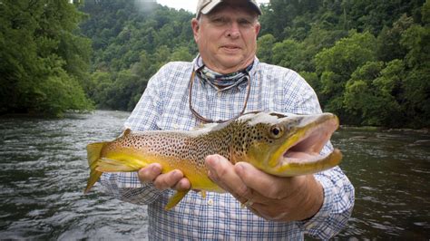 South Holston River Fishing | Fly Fishing TN Mountains | Asheville Fly ...