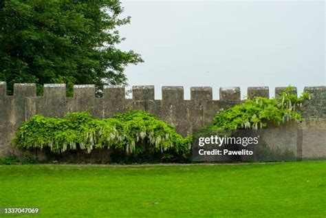 Dunraven Castle Photos and Premium High Res Pictures - Getty Images