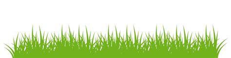 Premium Vector | Green grass border silhouette of grass