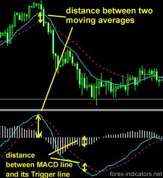 MACD | Forex Indicators Guide