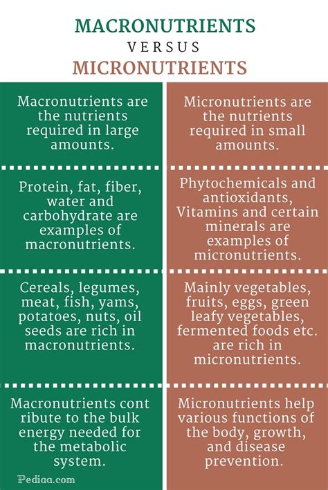 Difference Between Macronutrients and Micronutrients – Pediaa.Com