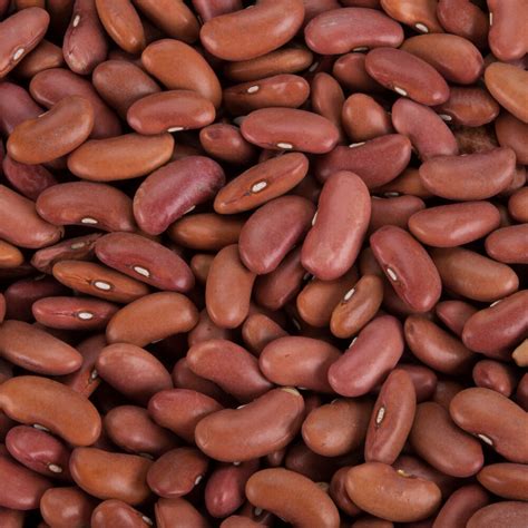 Dried Light Red Kidney Beans - 20 lb.