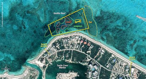 Snorkeling at Smith's Reef, Turtle Cove | Snorkeling Providenciales, Turks and Caicos