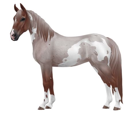 Tennessee Walker | Horse breed | Star Stable