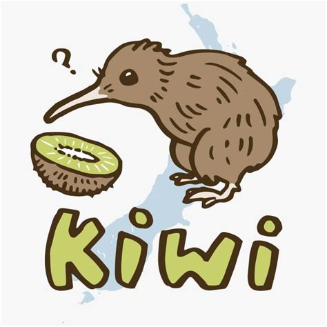 Bird Kiwi and Fruit Kiwi / Drawing | ai illustrator file | US$5.00 each | Ai & PNG File