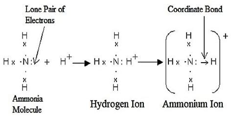 Which type of Bonds is present in Ammonia Ion? - QS Study