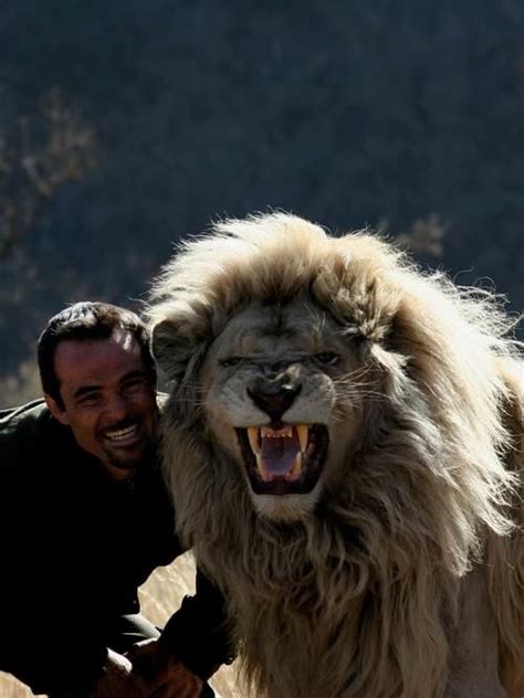 Meet Kevin Richardson: The Lion Whisperer