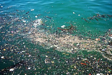 Trash pollution in the ocean | One Step Greener