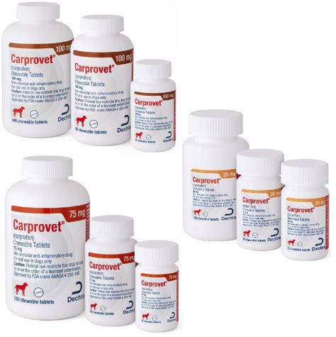 Carprovet (carprofen) Chewable Tabs for Dogs | 1Family 1Health Pharmacy