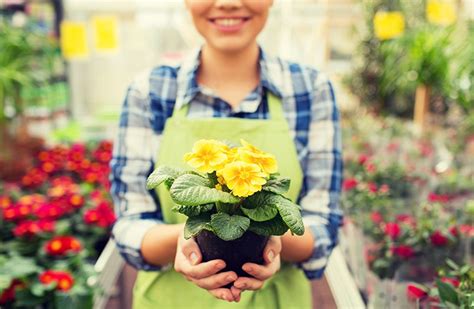 Insect control tips from the pros - Greenhouse Management