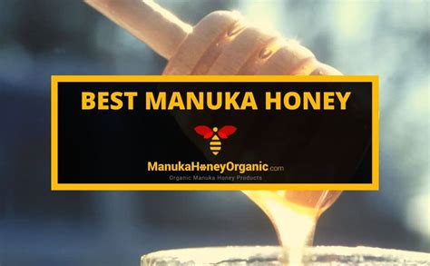 Best Manuka Honey Of 2024 | Manuka Honey Organic