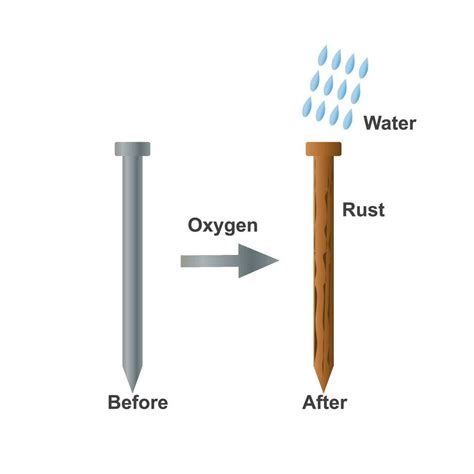 Rusting of iron nail experiment diagram. 27798472 Vector Art at Vecteezy