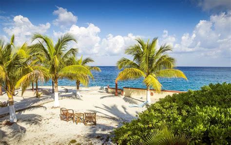 Beautiful Beaches in Cozumel - Trip Support