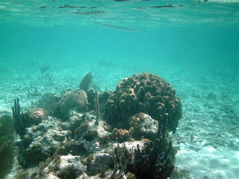 Mexico Rocks - Snorkeling Belize - Belize Boat