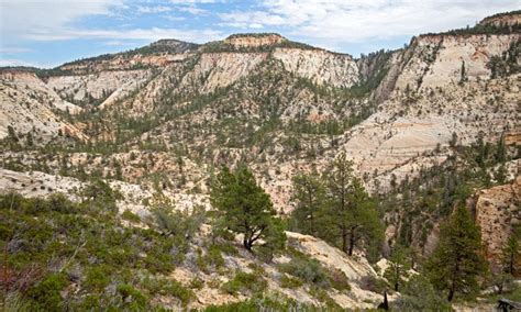 Observation Point Trail, Zion National Park Hiking - AllTrips