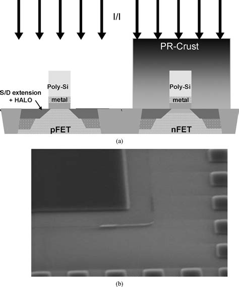 (a) Depiction of crust formation during I/I (b) SEM verification of ...