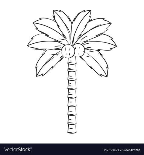 Isolated sketch of a palm tree Royalty Free Vector Image