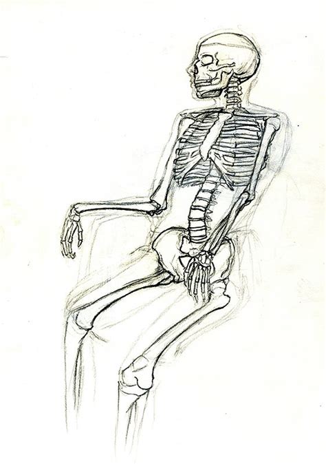 A skeleton sitting down 1 by cimbum on DeviantArt