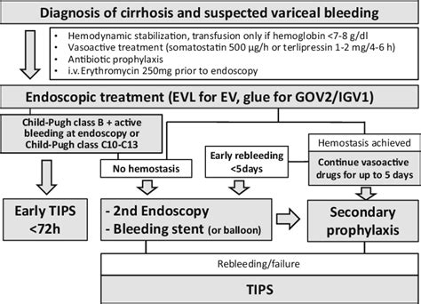 Terlipressin (테리핀) - HRS, Esophageal Varices : 네이버 블로그