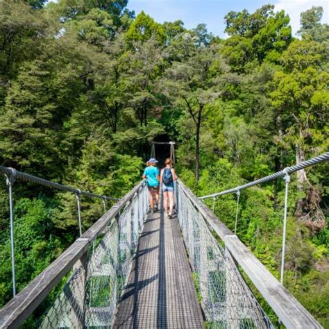 Marlborough Walking Trips & Hiking Tours | Great Walks of New Zealand