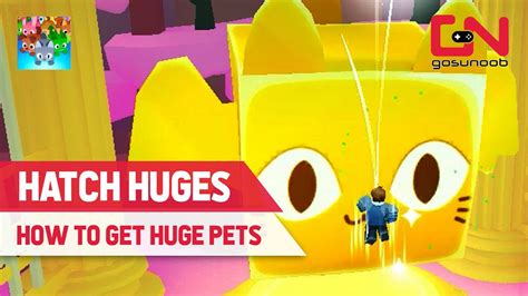 How to Get Huge Pets in Pet Simulator 99 - Rebirth 2 Location & Rewards - YouTube