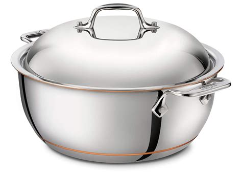 Best All Clad 5 Ply Stainless Steel Dutch Oven – The Best Choice