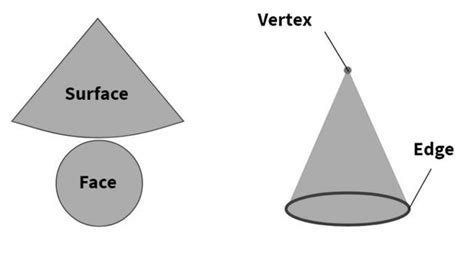 Vertices, Edges And Faces | Types, Relationships, Examples