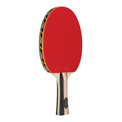 Top 10 Best Table Tennis Paddles in 2021 Review | Guide