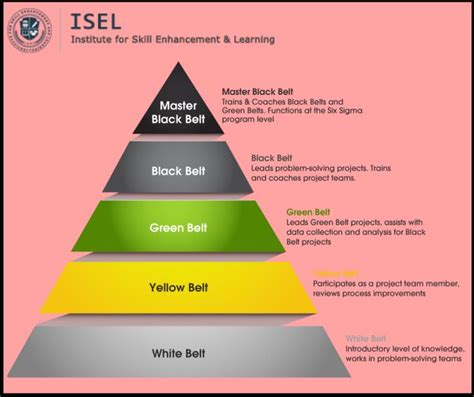 Six Sigma Black Belt | ISEL GLOBAL | Effective learning, Black belt, Lean six sigma