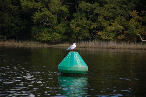 For the best family day out book a Beaulieu River cruise to historic Buckler’s Hard, find great ...