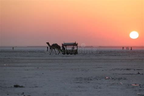 Sunrise at Rann of Kutch - Camel Cart - Rann Utsav - White Desert ...