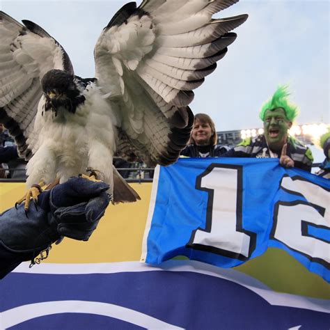 Taima the Hawk: Everything You Need to Know About Seahawks' Feathered Mascot | Bleacher Report