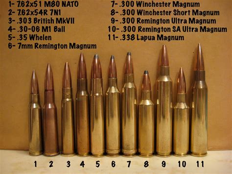 Selecting the First Gun for the Beginner Hunter | by D. P. Chatsworth | Law of the Outdoors | Medium