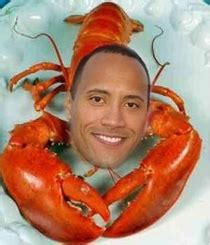 Looked up rock lobster wasnt disappointed - Meme Guy