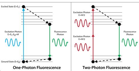 Research – Biomedical Optics Lab