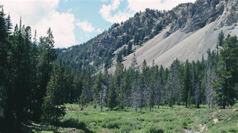 Bridger-Teton National Forest - Jackson | Travel Wyoming. That's WY