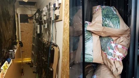 Northamptonshire: Large cannabis factory found in village - BBC News