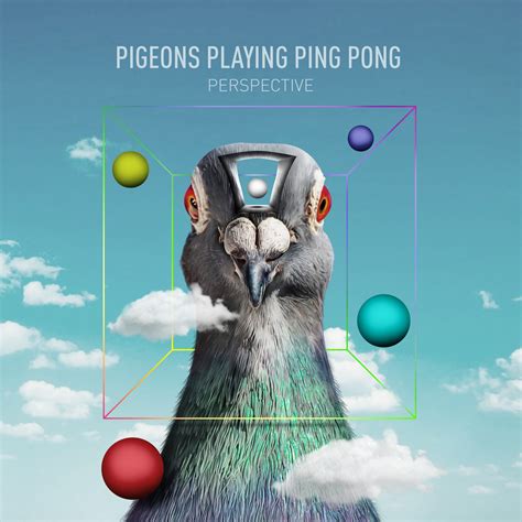 Pigeons Playing Ping Pong - OFFICIAL WEBSITE